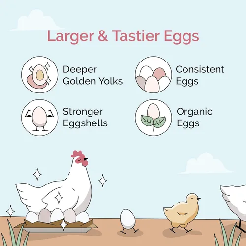 Miniatura 2 de Mile Four Grano de pollo (50 libras) para pollos en capas y cultivadores de 8 a 20 semanas o más, 100 % mineral natural de grano de pollo, cuarcita