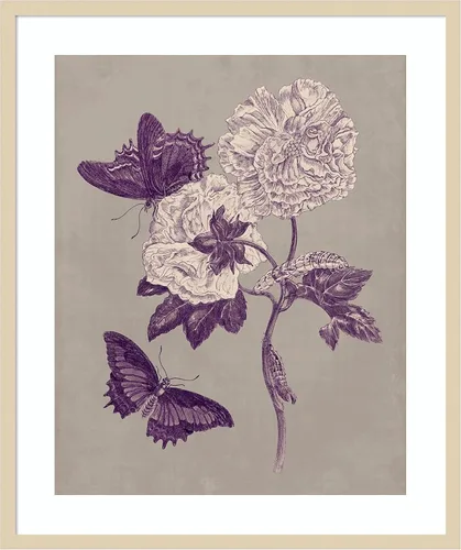 Miniatura 7 de Amanti Art Lienzo decorativo para pared, 24 x 20 pulgadas, estudio de la naturaleza en ciruela y gris pardo IV por Maria Merian, arte de pared