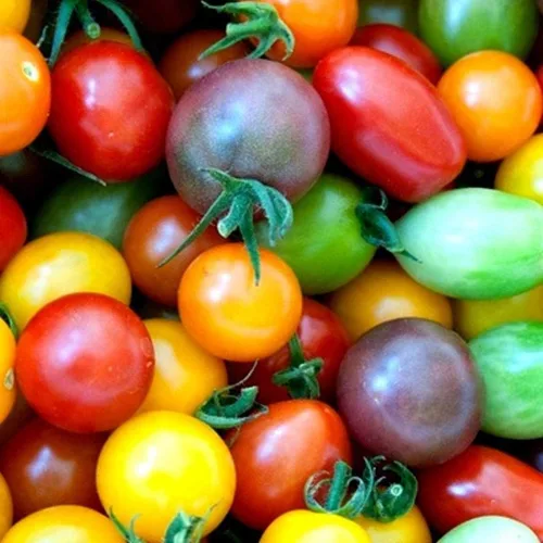 Miniatura 22 de Semillas de huerto para plantar - Cultivar verduras tradicionales (tomate bistec)