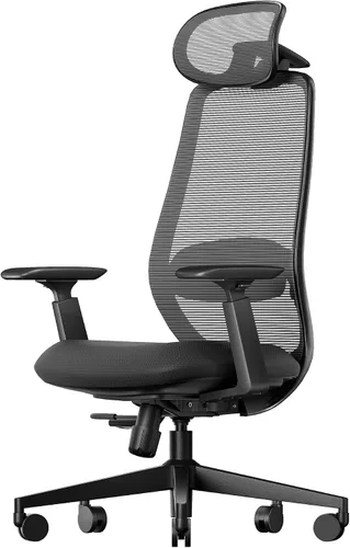 ProtoArc Silla ergonómica de oficina – EC200 Silla de escritorio de malla con respaldo alto para computadora con soporte lumbar, reposacabezas Negro