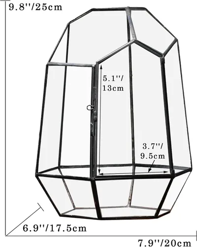 Miniatura 5 de NCYP Cerrar Terrario geométrico de vidrio con puerta, maceta irregular de 9.8 pulgadas de alto para suculentas, cactus pequeños, decoración moderna