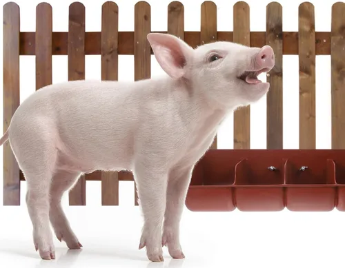 Miniatura 2 de DOITOOL Comedero de cabra para granos, alimentador de valla de plástico para cerdos, canal de alimentación de montaje de 4 compartimentos
