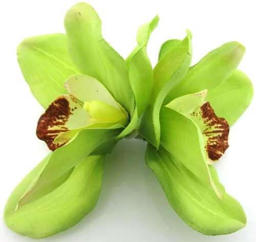 Miniatura 4 de Doble pinza de pelo de flores de seda verde lima con dientes