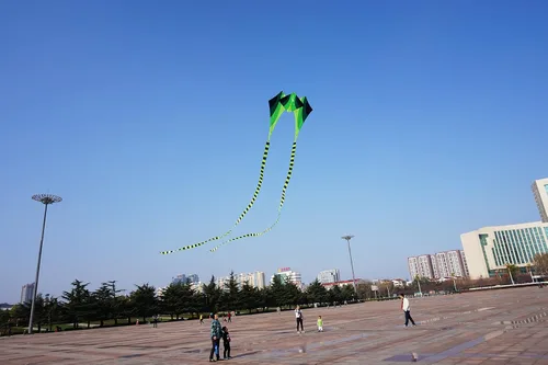Miniatura 3 de Besra Cometa grande de rana fluida de diamante 3D de una sola línea con 2 colas largas, deportes divertidos al aire libre para niños y adultos