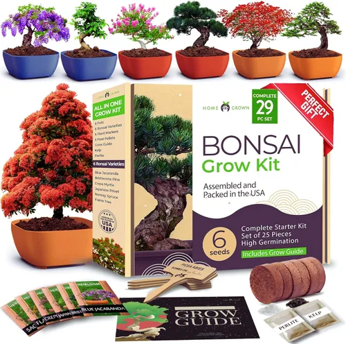 HOME GROWN Kit de árbol bonsái – 6 variedades heredadas con macetas únicas – Kit de inicio de bonsái DIY para adultos y principiantes – Regalo de