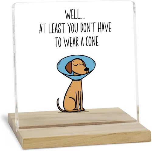 Miniatura 19 de Regalos de aliento para mujeres, señal decorativa, placa acrílica "You Are Amazing", señal "You Are Loved" de JAXXERO