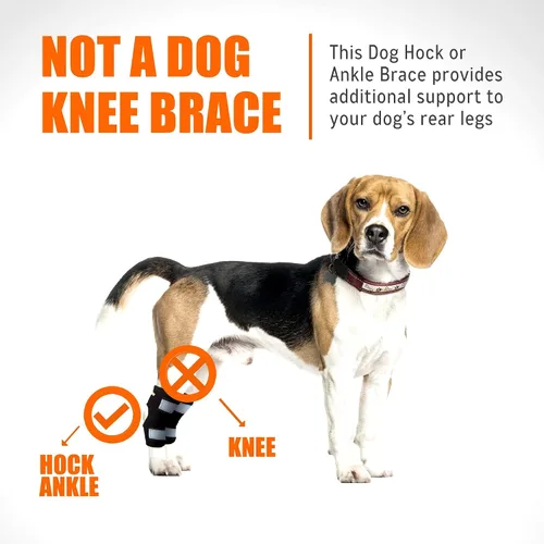 Miniatura 5 de NeoAlly Soportes de perro de gran apoyo para articulación trasera de corvejón con tiras de resorte de metal duales estabilizan las patas traseras