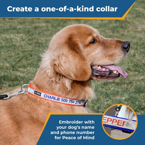 Miniatura 2 de Collar de perro reflectante personalizado, bordado personal con nombre y teléfono de la mascota, color azul, negro, rosa, rojo y naranja. Collares