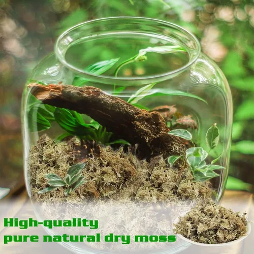 Miniatura 8 de Halatool Musgo esfagnum prémium de 3.6 onzas para plantas de interior, mezcla para macetas de musgo de orquídea de 4 cuartos de galón, musgo