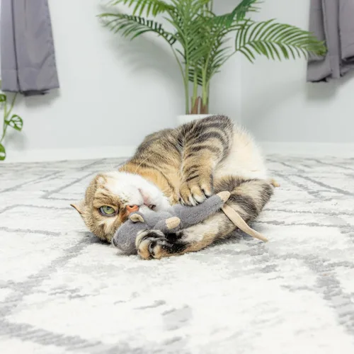 Miniatura 5 de SPOT Ratón Plano Frankie con Hierba Gatera - Juguetes para Gatos, Ratones de Peluche con Hierba Gatera y Sonido de Crujido, Tamaño Perfecto