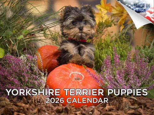 Miniatura 14 de Calendario 2025 2026 de cachorros Cocker Spaniel - Calendario mensual de pared de raza de perro - 12" x 24" abierto - Papel grueso sin sangrado