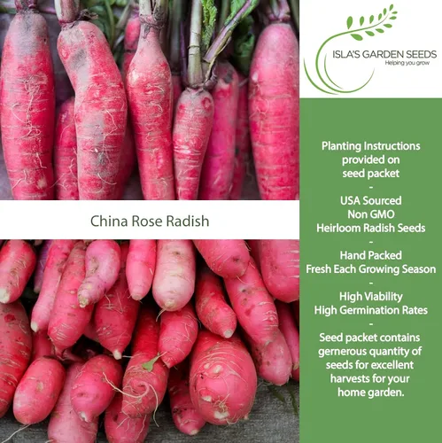 Miniatura 2 de Semillas de rábano rosa rosa de China para plantar, más de 125 semillas de reliquia por paquete, semillas de jardín de Isla