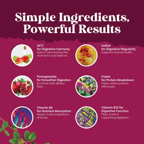 Miniatura 4 de Gomitas de Vinagre de Sidra de Manzana con la Madre - Suplemento Energético Natural, Gomitas ACV con Madre para Limpieza Corporal, Apoyo