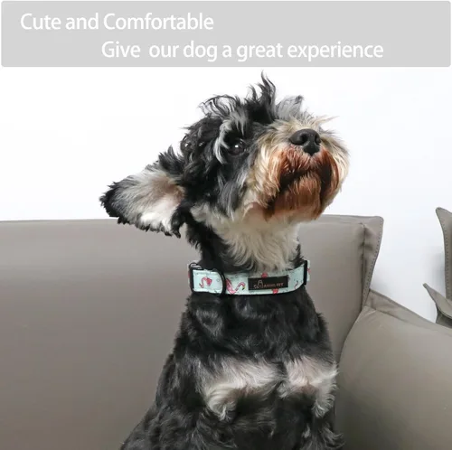 Miniatura 4 de Aring Pet Collar de algodón, ligero y ajustable, con hebilla de liberación rápida para perros pequeños, medianos y grandes, para cachorros, S