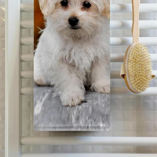 Miniatura 2 de 3dRose 22x30 Toalla de baño de mano para piscina - Maltés. Lindo cachorro. Perros