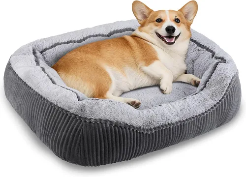 Miniatura 10 de Camas para perros y gatos pequeños, medianos y grandes. Cama lavable para mascotas, sofá cama ortopédica para perros, cama suave y calmante