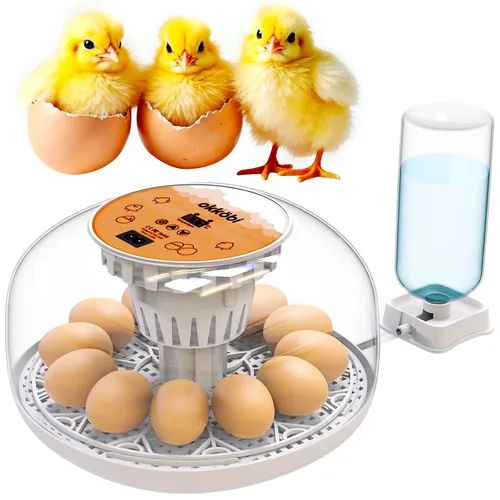 Okkobi M12 - Incubadora de huevos con girador automático y control de humedad, 12/24 huevos, vista de 360°, fácil de usar y limpiar, Incubadora de