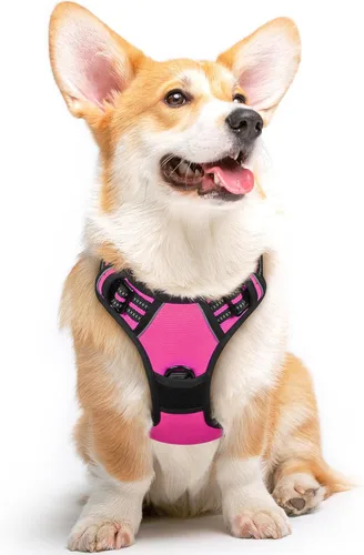 Miniatura 13 de Eagloo Arnés para perro pequeño, sin tirones, chaleco de servicio con tiras reflectantes y asa de control, ajustable y cómodo para caminar, arnés