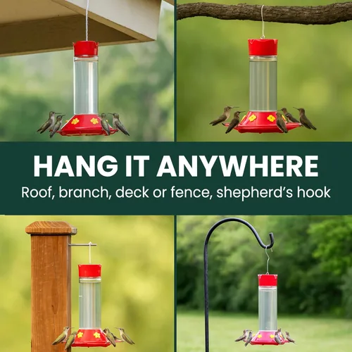 Miniatura 6 de Perky-Pet 209B-1SR - Comederos de vidrio para colibríes para colgar en exteriores, capacidad de néctar de 30 onzas líquidas, comedero para pájaros