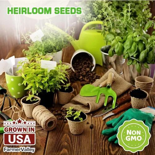 Miniatura 4 de 12 semillas de hierbas culinarias y medicinales tradicionales para plantar, sin OMG y cultivadas en Estados Unidos, paquete variado para jardín