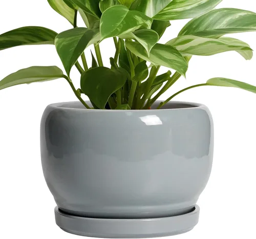 Miniatura 24 de SQOWL Macetas de cerámica – Maceta de 6 pulgadas con orificio de drenaje y bandeja, maceta redonda para plantas de interior, maceta decorativa