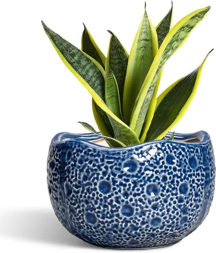 Miniatura 13 de Macetas de Cerámica Thirtypot - Maceta de 4 Pulgadas con Agujero de Drenaje, Macetas Pequeñas para Plantas de Interior y Exterior, Maceta Redonda
