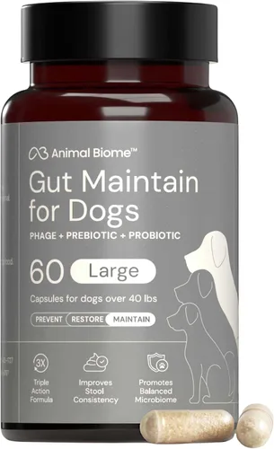 Miniatura 11 de AnimalBiome KittyBiome - Probióticos para gatos con S Boulardii (30 cápsulas) KittyBiome - Mantenimiento intestinal de triple acción fago