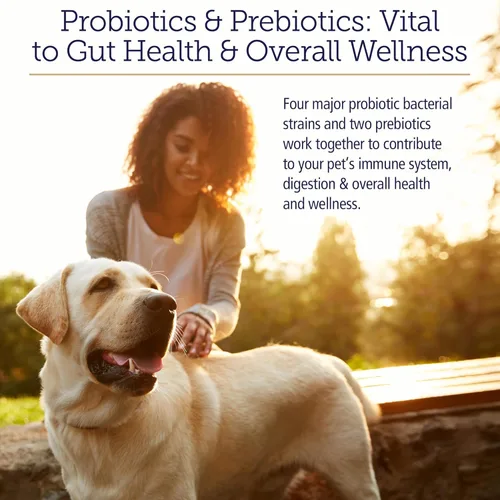 Miniatura 2 de Rx Vitamins Rx Biotic - Polvo probiótico para perros y gatos - Apoyo digestivo y probiótico para perros salud intestinal - Probióticos para perros