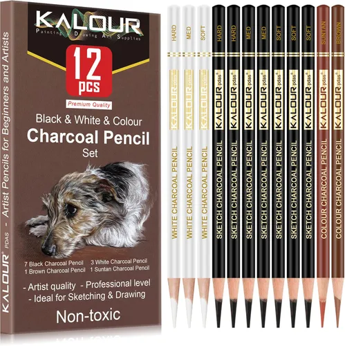 KALOUR Juego de Dibujo de Carboncillo de Colores Pro, 12 Piezas de Lápices de Tiza Pastel para Bocetos, Sombreado, Mezcla, Retrato, Carboncillo