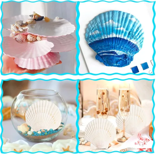 Miniatura 5 de 8 conchas de almeja para manualidades, conchas de vieira naturales de 4 a 5 pulgadas, conchas marinas grandes para manualidades, fiestas temáticas