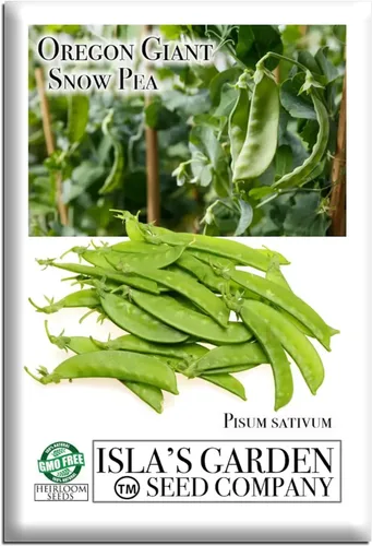 Semillas de guisantes de nieve gigantes de Oregon para plantar, más de 25 semillas de reliquia por paquete, semillas de jardín de Isla (semillas de