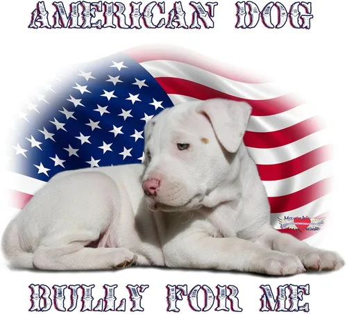 Miniatura 2 de CafePress Bully For Me, imán rectangular de perro americano, imán para refrigerador de 3 x 2 pulgadas
