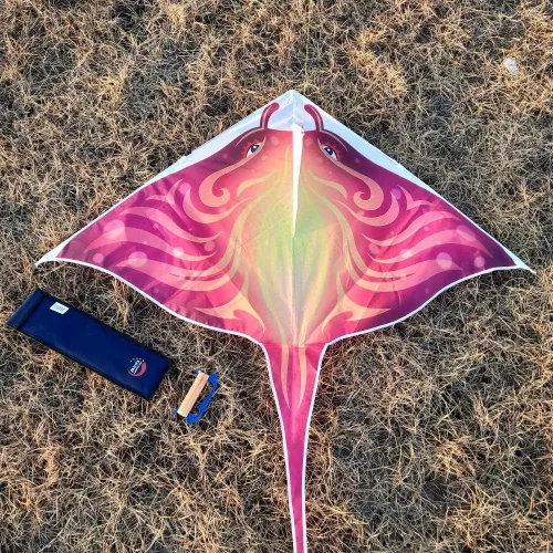 Miniatura 6 de Mint's Colorful Life Cometa de pez diablo para niños y adultos, fácil de volar, cometa Delta de una línea grande, mango de cometa incluido