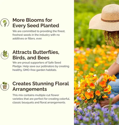 Miniatura 4 de Eden Brothers Semillas mixtas de flores silvestres de aves y mariposas para plantar, 1/4 libras, más de 120,000 semillas con cosmos, manta india