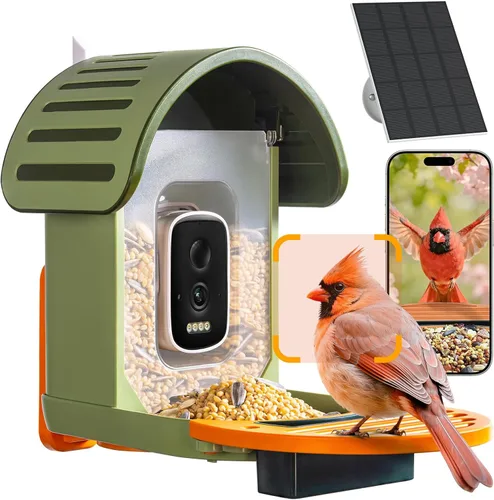 Comedero inteligente para pájaros con cámara, cámara de observación de aves WiFi con energía solar de 2.5 K, identificación de especies de aves AI,