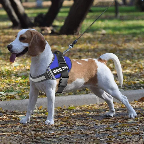 Miniatura 6 de JSXD - Arnés para perro, sin tirones, con asa ajustable, para exteriores, chaleco de nailon reflectante 3M, fácil control del perro, para perros Azul