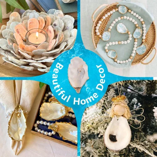 Miniatura 4 de Concha de ostra grande de 3 a 4 pulgadas para manualidades, 15 conchas de ostras naturales reales a granel para decoración del hogar, decoración