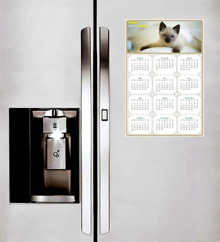 Miniatura 4 de Calendario magnético 2026 – Imanes del calendario – Today is my Lucky Day – Resistente a la decoloración, desgarros y agua – Temático de gato 013