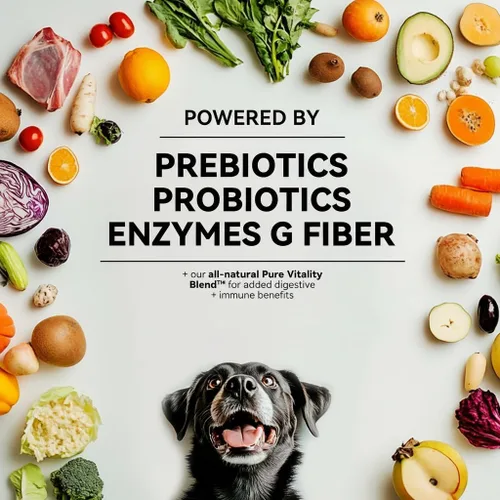 Miniatura 3 de Probióticos para perros – Masticables suaves para apoyo digestivo e inmunológico con prebióticos, fibra y enzimas – Alivia la diarrea, los gases