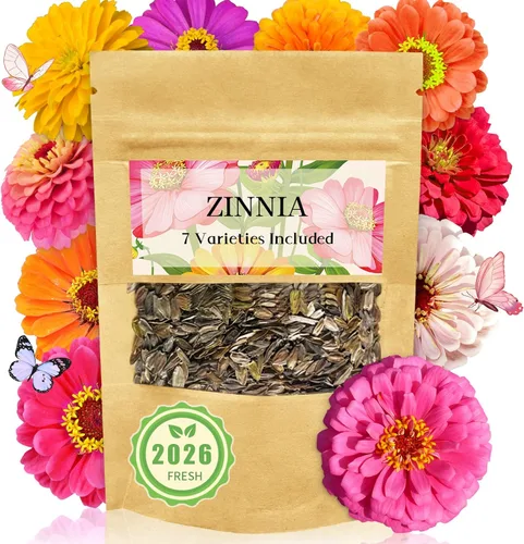 Semillas de Zinnia a granel 5,000+ | Flor de exterior para plantar | Semillas gigantes de Zinnia para 2026 | Colores mixtos y flores grandes para