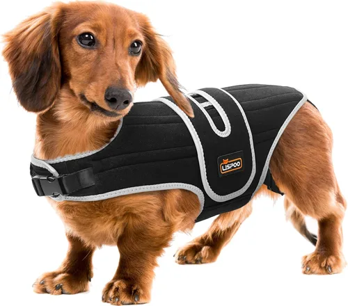 Miniatura 10 de Soporte de espalda para perro para IVDD, soporte espinal de apoyo completo con soportes metálicos para enfermedades del disco, alivio del dolor