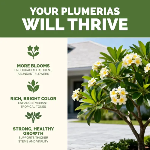 Miniatura 2 de Plumeria Fertilizante para todas las plantas frangipani y tropicales, alimento líquido para plantas, 1 galón (128 onzas)