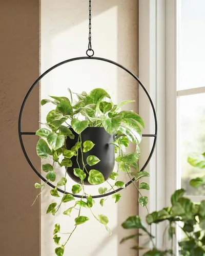 Miniatura 8 de Bamworld Black Hanging Planters for Indoor Outdoor Plants Metal Hanging Pots for Plants 5 Inch Modern Hanging Basket Window Plant Hanger Ceiling
