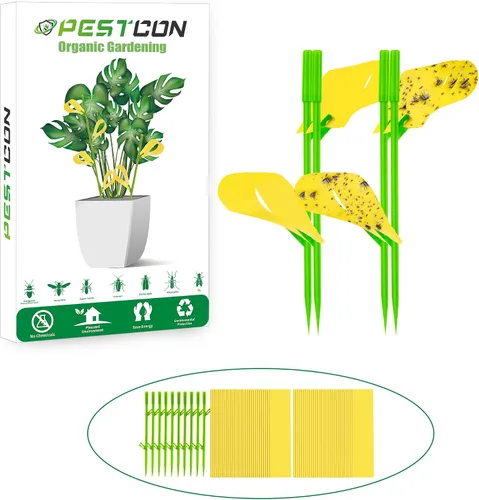 Miniatura 7 de 30 trampas para moscas de la fruta para interiores, trampas adhesivas amarillas para interiores de la casa, trampas adhesivas amarillas