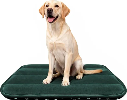 Miniatura 67 de Alfombrilla para Cama de Perro – Almohadilla de Perrera Suave y Cómoda para Jaula – Cama y Almohadilla Duradera para Perros y Gatos – Ideal para Gris