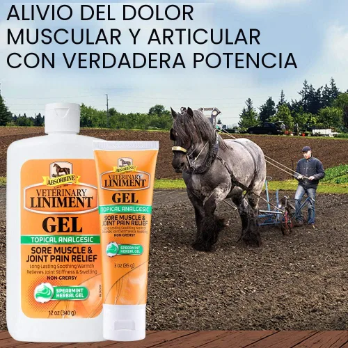 Miniatura 2 de Absorbine Gel de linimento veterinario, ungüento analgésico tópico de mentol para músculos adoloridos, dolor de articulaciones y artritis, paquete