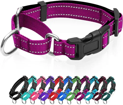 Miniatura 12 de Collares de perro Martingala reflectantes. Collar de perro con hebilla de liberación rápida. Collar ajustable de nailon transpirable acolchado suave