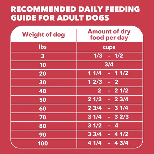 Miniatura 9 de Iams Proactive Health Comida seca para perros adultos – croquetas Minichunk