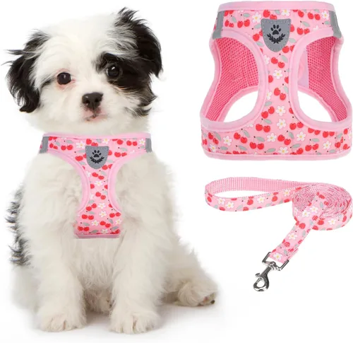 Miniatura 24 de Arnés de malla suave para cachorros – Juego de arnés y correa para perros pequeños, ajustable y cómodo chaleco reflectante acolchado para cachorros