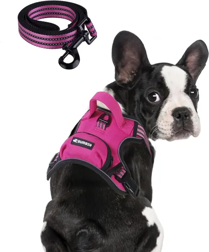 Miniatura 12 de Arnés sin tirones para perros pequeños, ajustable sin estrangulamiento, chaleco para mascotas con correa para perro, arnés reflectante inteligente
